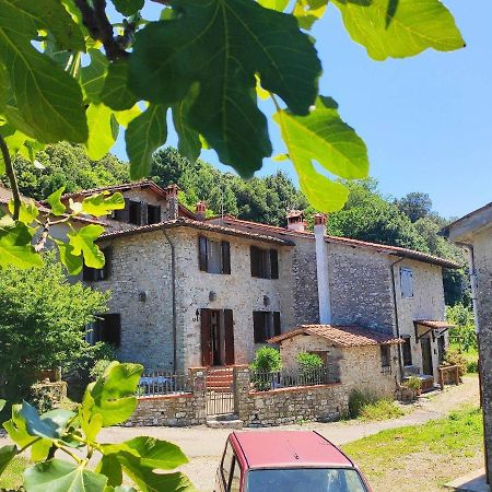 Cara House Tuscany - Zona Lucca Chiatri Exteriér fotografie